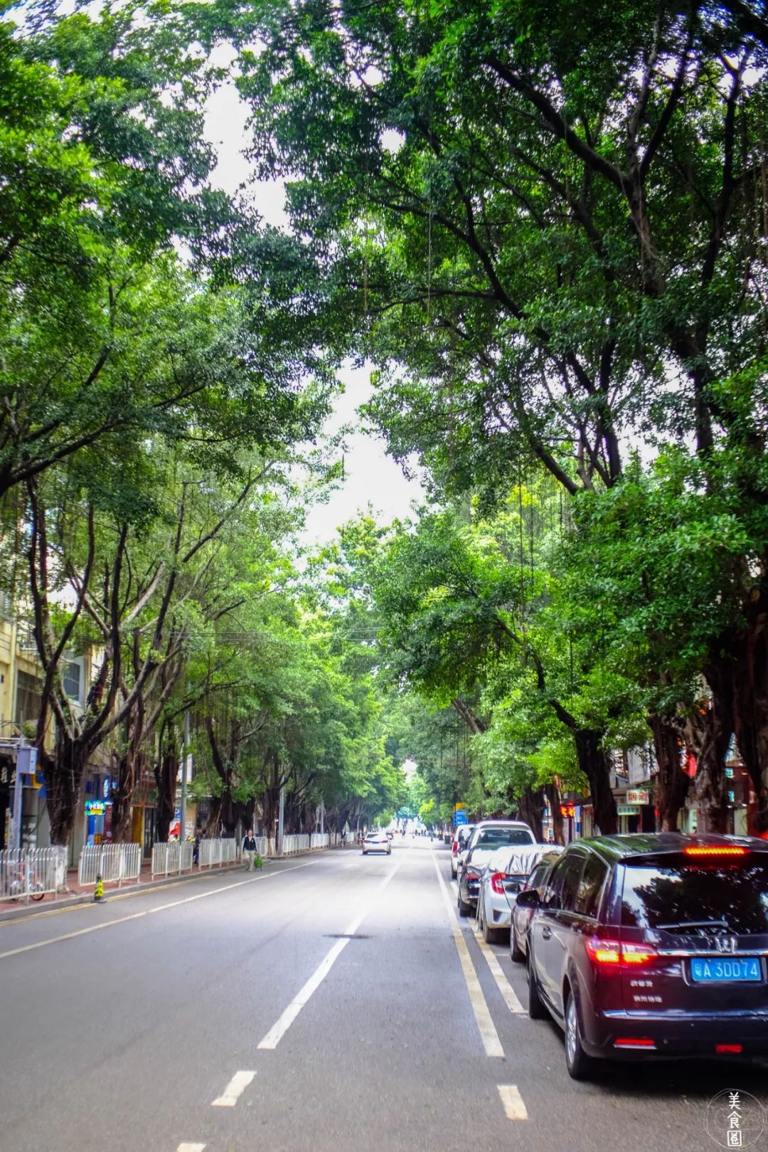 再见了相互嫌弃的老同学,再见了大别山原唱简谱