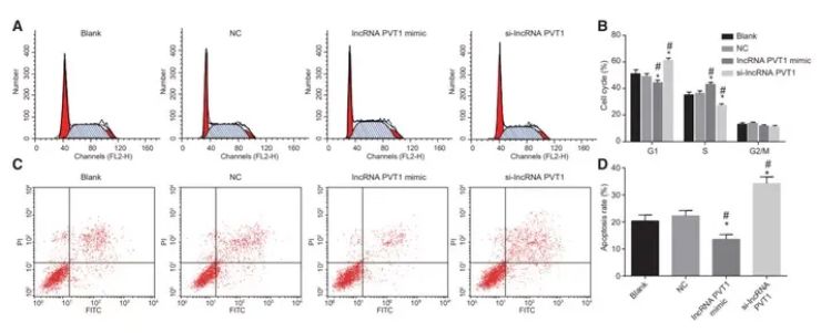 郑州大学附属肿瘤医院,郑州肿瘤医院论文