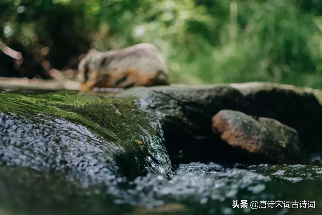诗词歌赋雅俗共赏,诗酒花茶琴棋书画七言绝句