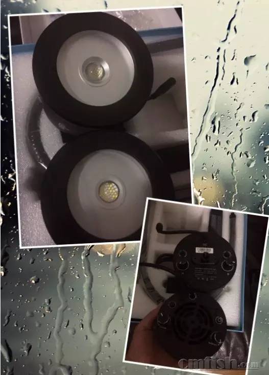 KELO钜彩照明LED水族灯试用活动鱼友评测详情（二）