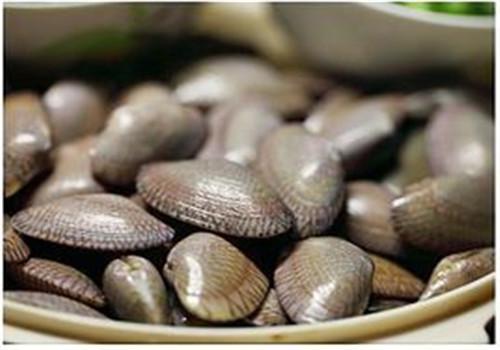 大厨教你一道蒜蓉花甲,大厨教你做花甲