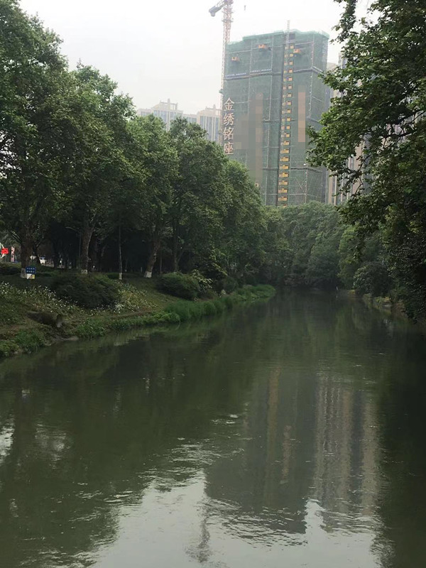 成都主城区改善新盘,成都袖珍楼盘可以买么