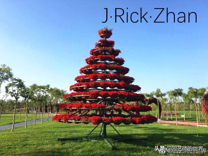 怎样种植草坪技术,果岭草坪的种植养护方法及技巧