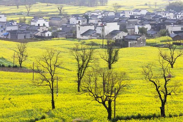 新规将影响我们的生活,这些新规将影响你我生活