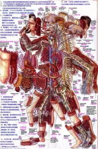 中医是一门什么科学,最全面的中医专业