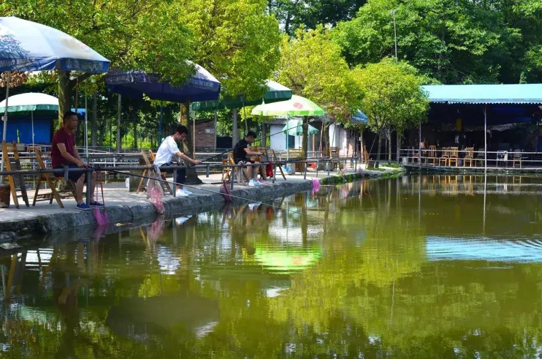 都江堰景区钓鱼地点推荐,都江堰垂钓好去处