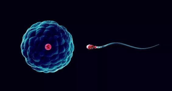 要怎样做才可以生儿子,怎么做才可以生小孩