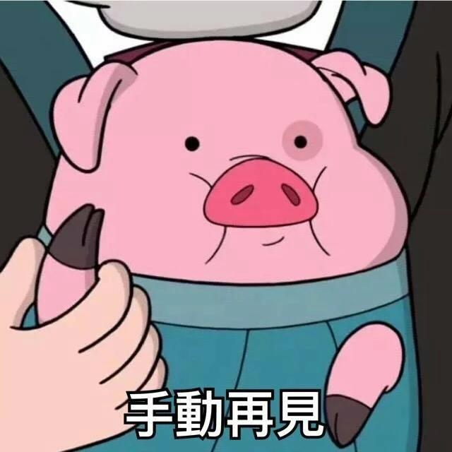 属猪的人善良忠厚老实重感情,属猪人心软不记仇善良重感情