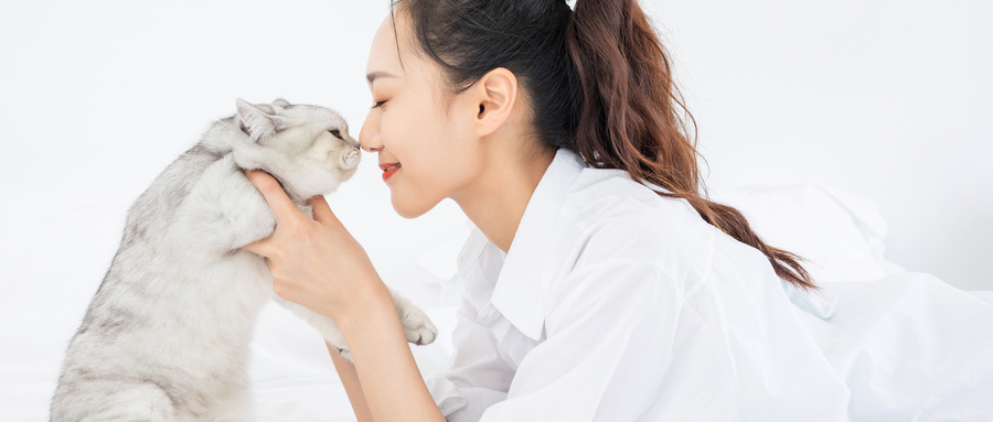 什么样的猫粮是好的,好的猫粮看哪些方面