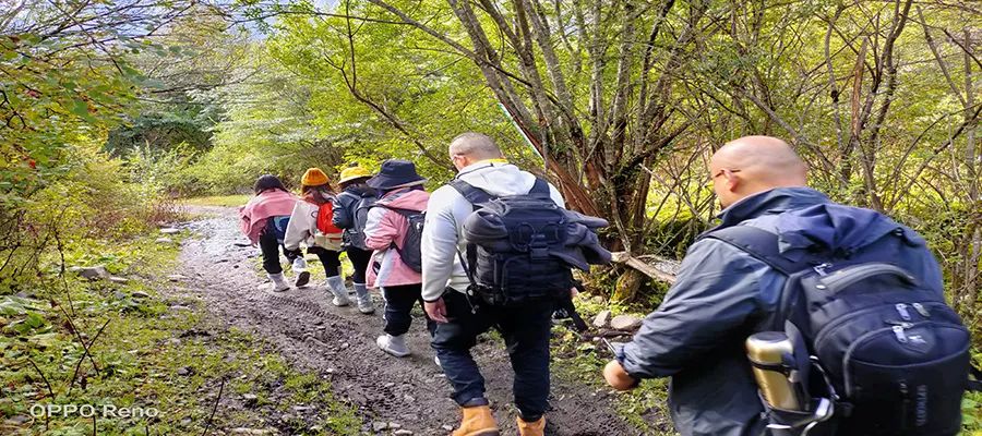 团建徒步主题聚力同行,徒步行团建活动方案