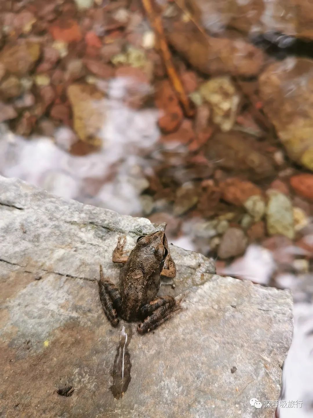 门头沟双龙峡小火车视频,京西小九寨百瀑谷