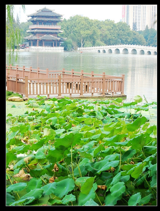 合肥故事第二季,合肥兴衰史