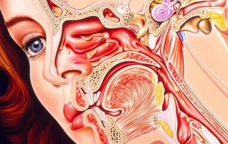 鼻窦炎最严重的症状及表现,耳鼻喉科如何治疗鼻窦炎