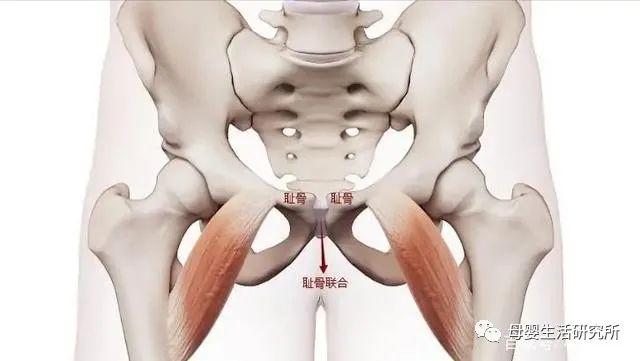 谢依霖2胎,谢依霖分娩成功