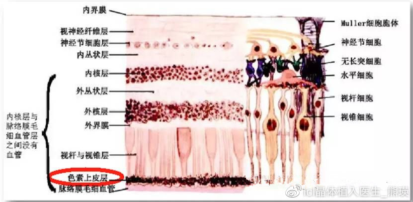 哺光仪能减少近视度数吗,哺光仪对眼轴控制真的有效吗