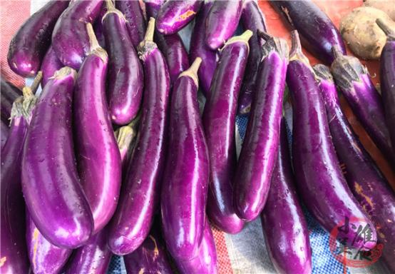 如何挑选茄子的技巧,最好的茄子挑选方法