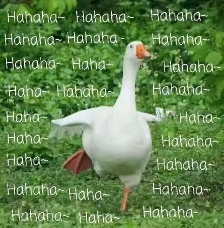 怎么辨别比乐狗粮真假,比乐狗粮跟好之味狗粮有什么区别