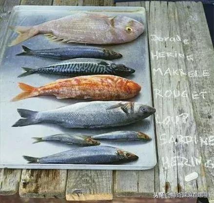 怎么选适合孩子吃的鱼,婴儿鱼泥什么牌子好