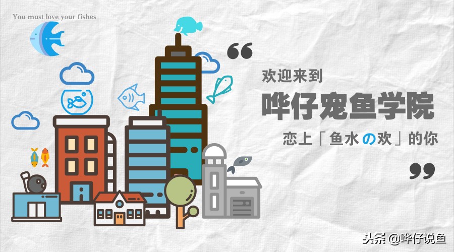 鱼缸给鱼换水的正确方法,鱼缸换水次数越多鱼长得越快吗