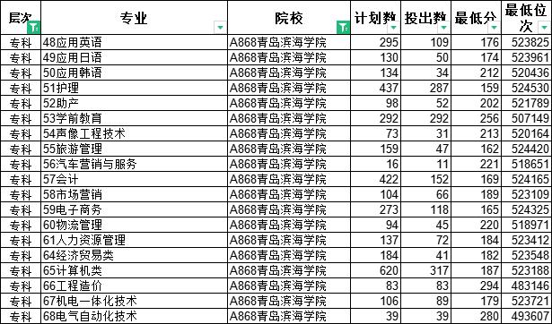 山东十大专科学校排名最好的专业,山东专科排名纯专科