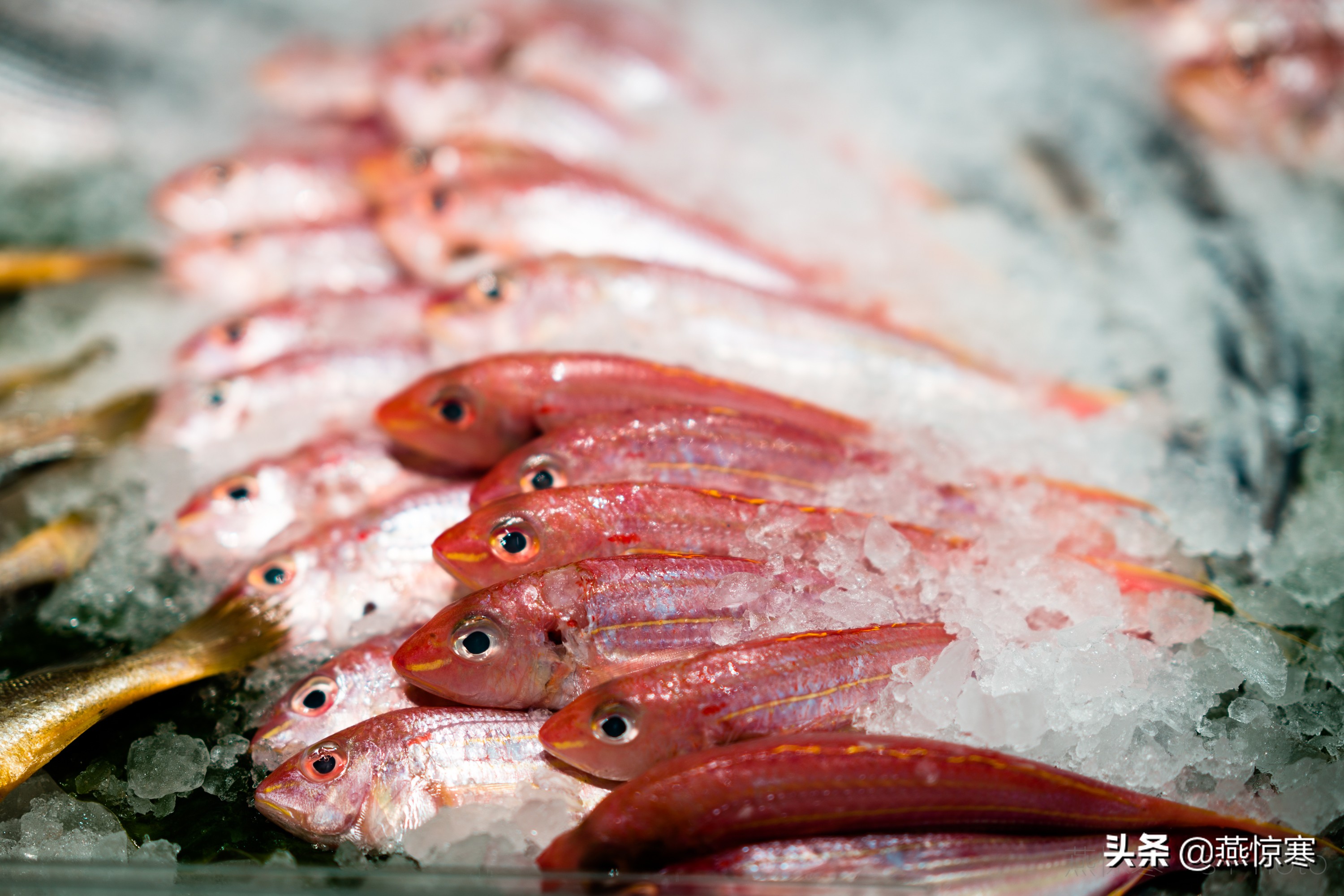 索尼除了24105还有哪些经典镜头,索尼40-2.5镜头评测