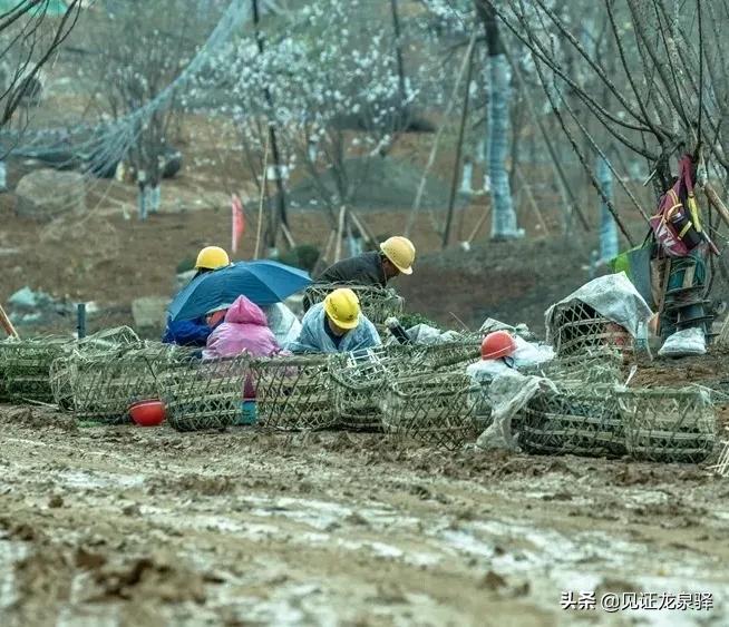 中国*产党共**龙泉驿历史
