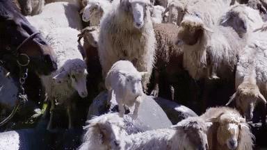 我国旅游日,中国旅游日5.19意义