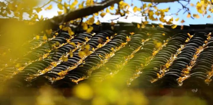 去云南自驾游有哪些景点最美,云南最美打卡景点