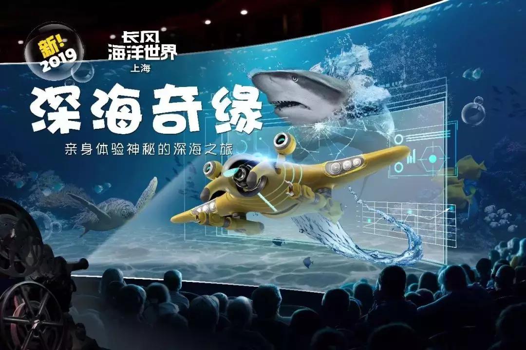 上海长风海洋世界五一,99元即可畅玩上海海昌海洋公园