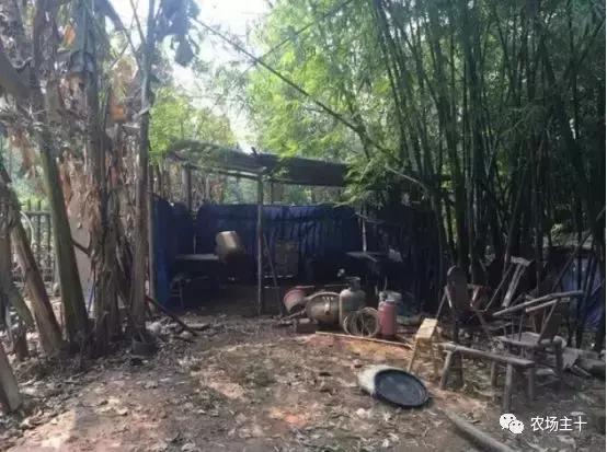 改造山野小院记录田园生活,花4万块钱改造的小院