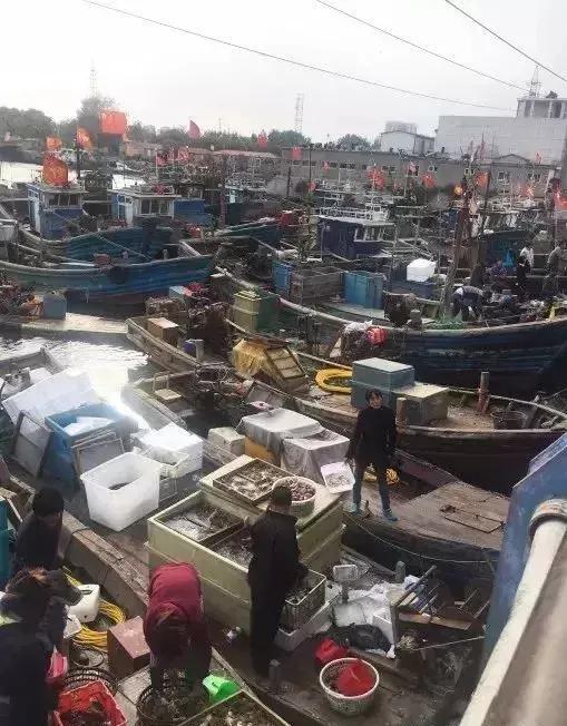 秦皇岛海鲜码头4月开海,秦皇岛开海海鲜