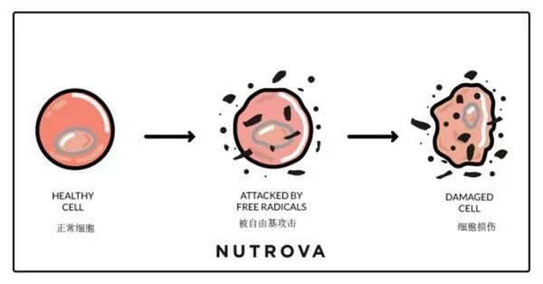 抗初老面膜抗皱保湿平价,抗初老焕白面膜