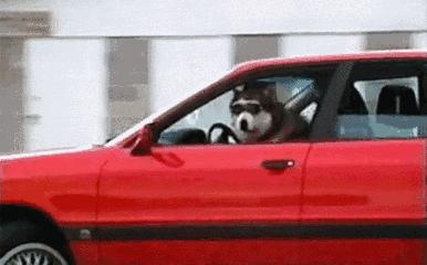 留学卑微图鉴：我是如何在30秒内成为亲戚朋友眼中的垃圾的？