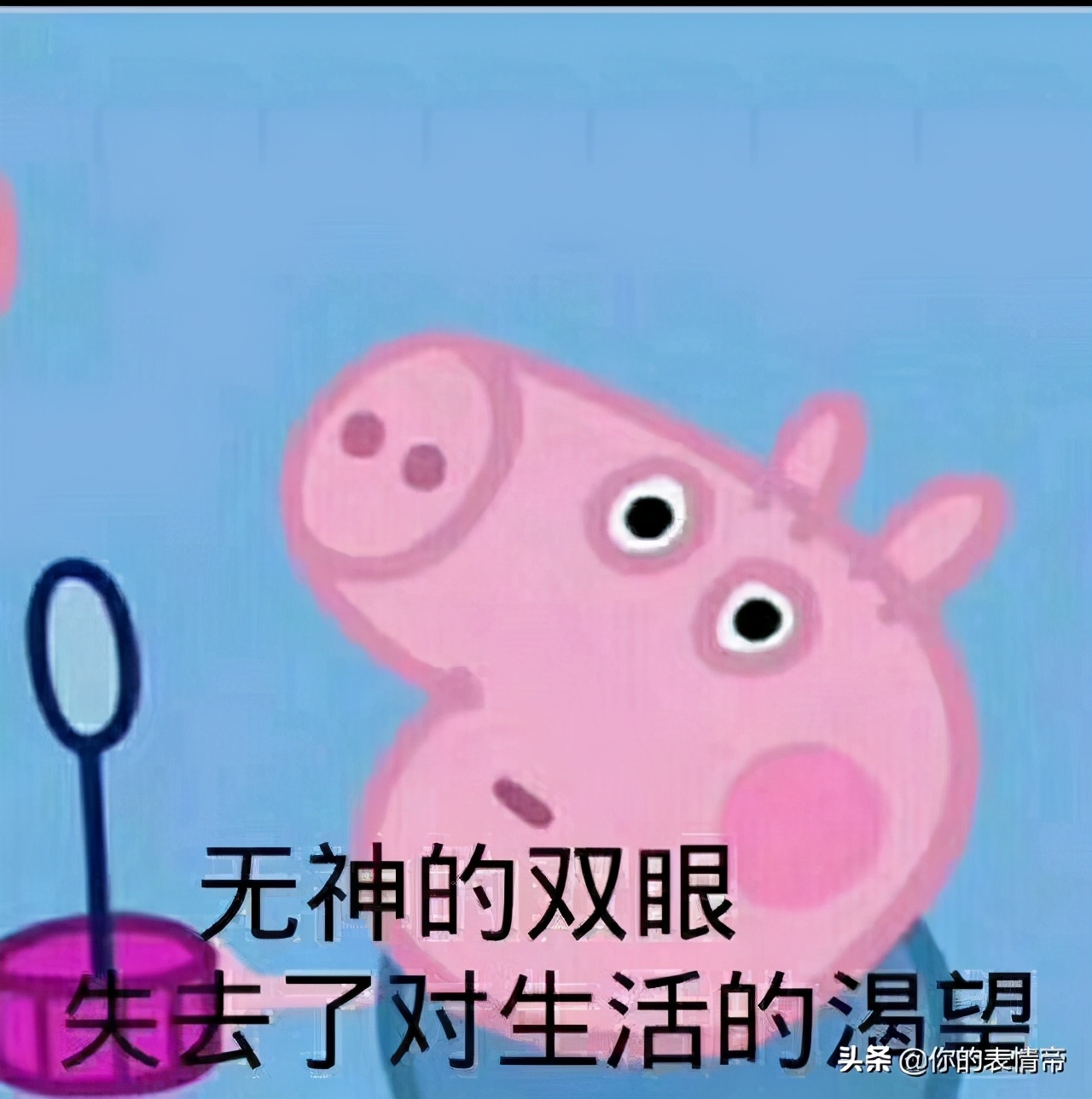 小猪佩奇的搞笑表情包大全,小猪佩奇和佩奇的搞笑表情包