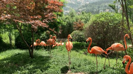 青岛西海岸啤酒节攻略,青岛西海岸周末去哪玩