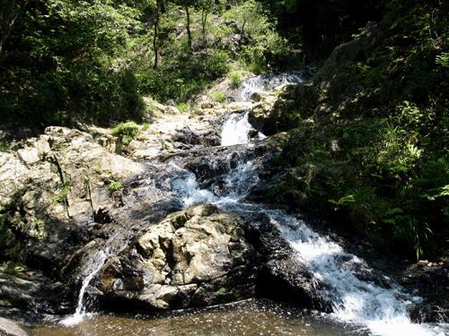 虫草山水画,四季花草山水画作品欣赏