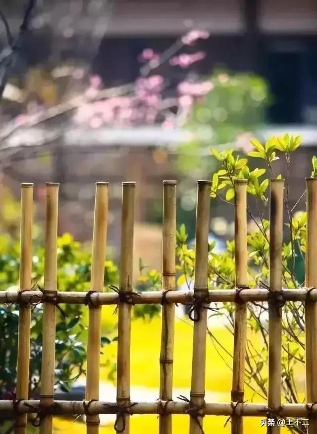 远赴人间盛宴谈笑风生不动情,远赴人间惊鸿宴谈笑风生不动情