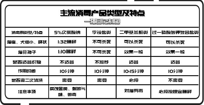 家里养猫床上和沙发喷什么消毒,去养猫的人家里做客要怎么消毒