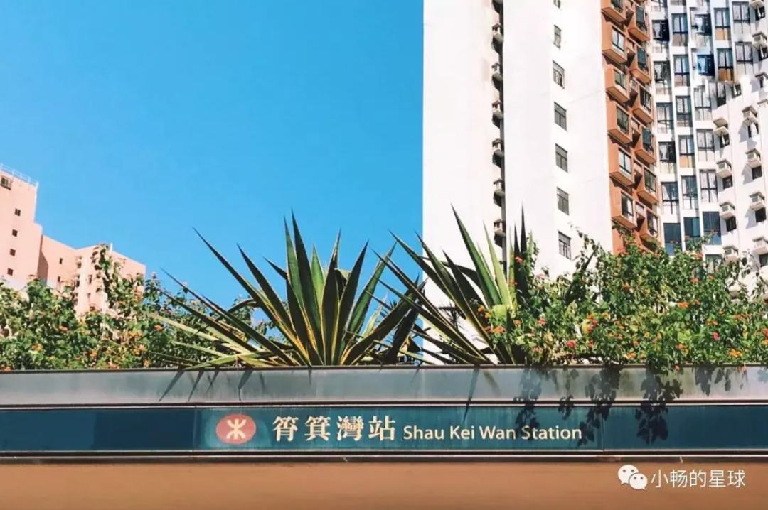 看完《喜宝》被气死，顶级富豪们最爱住的石澳道究竟是啥样？