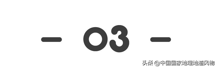 在酒缸里长大的人,泡在酒缸里的人