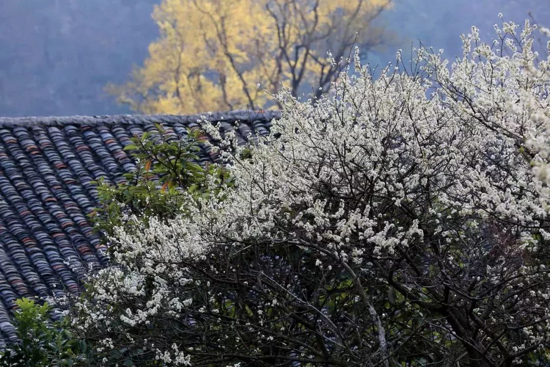 广西有座小城,广西这个宜居小城很低调