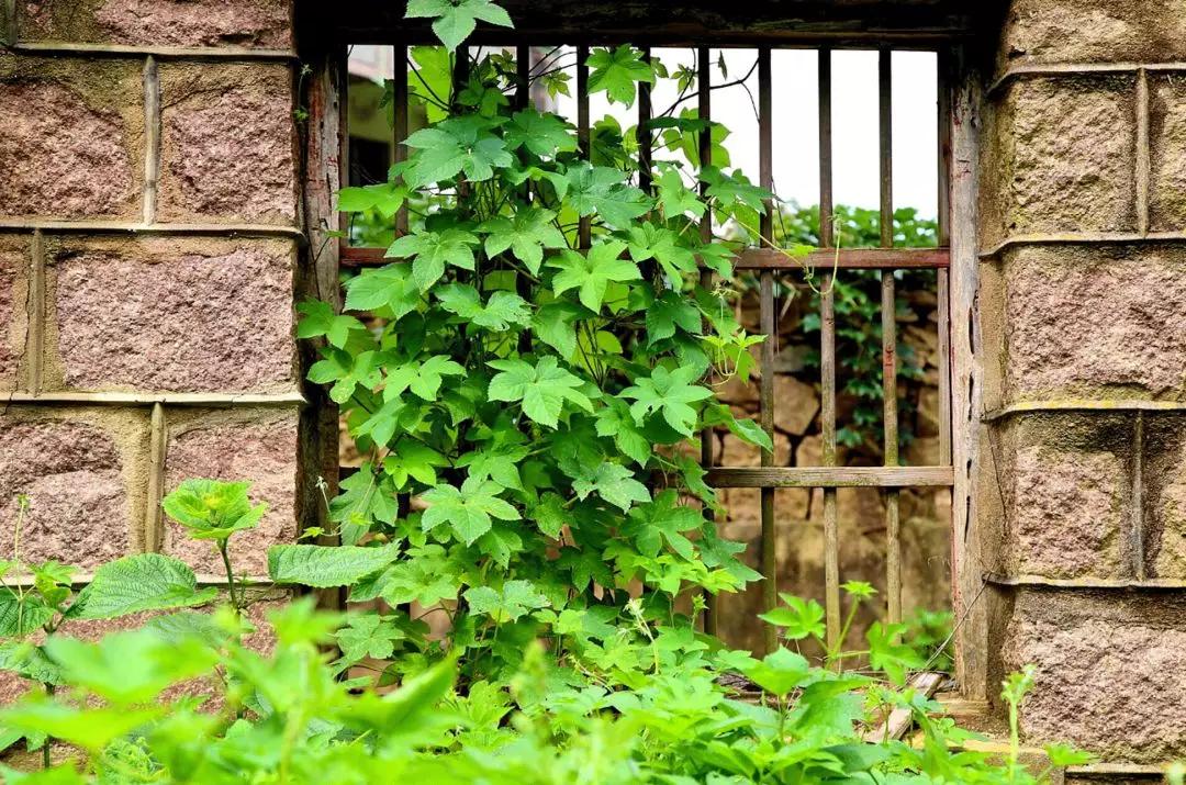 这座海岛我做好了攻略，适合约上最好的朋友一起去