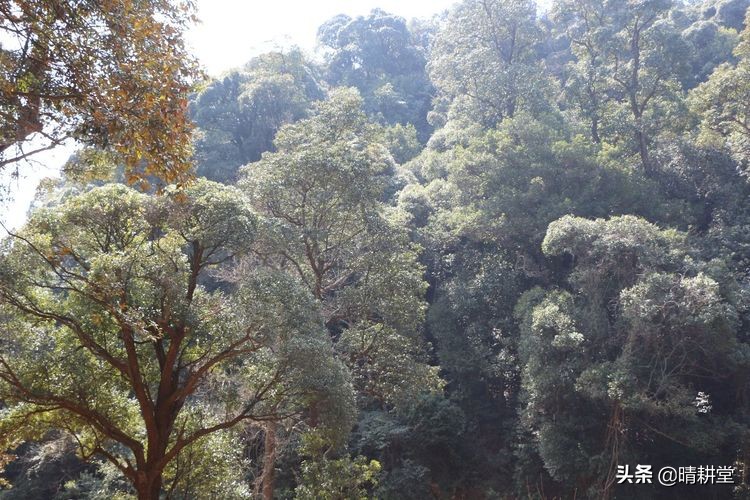 赣州峰山附近一日游自驾游景点,赣州峰山美景