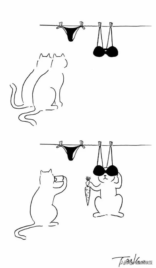 污力MAX！又污又有趣，还有点治愈