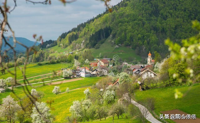 梦中小屋的安妮正版,梦中小屋的安妮书籍