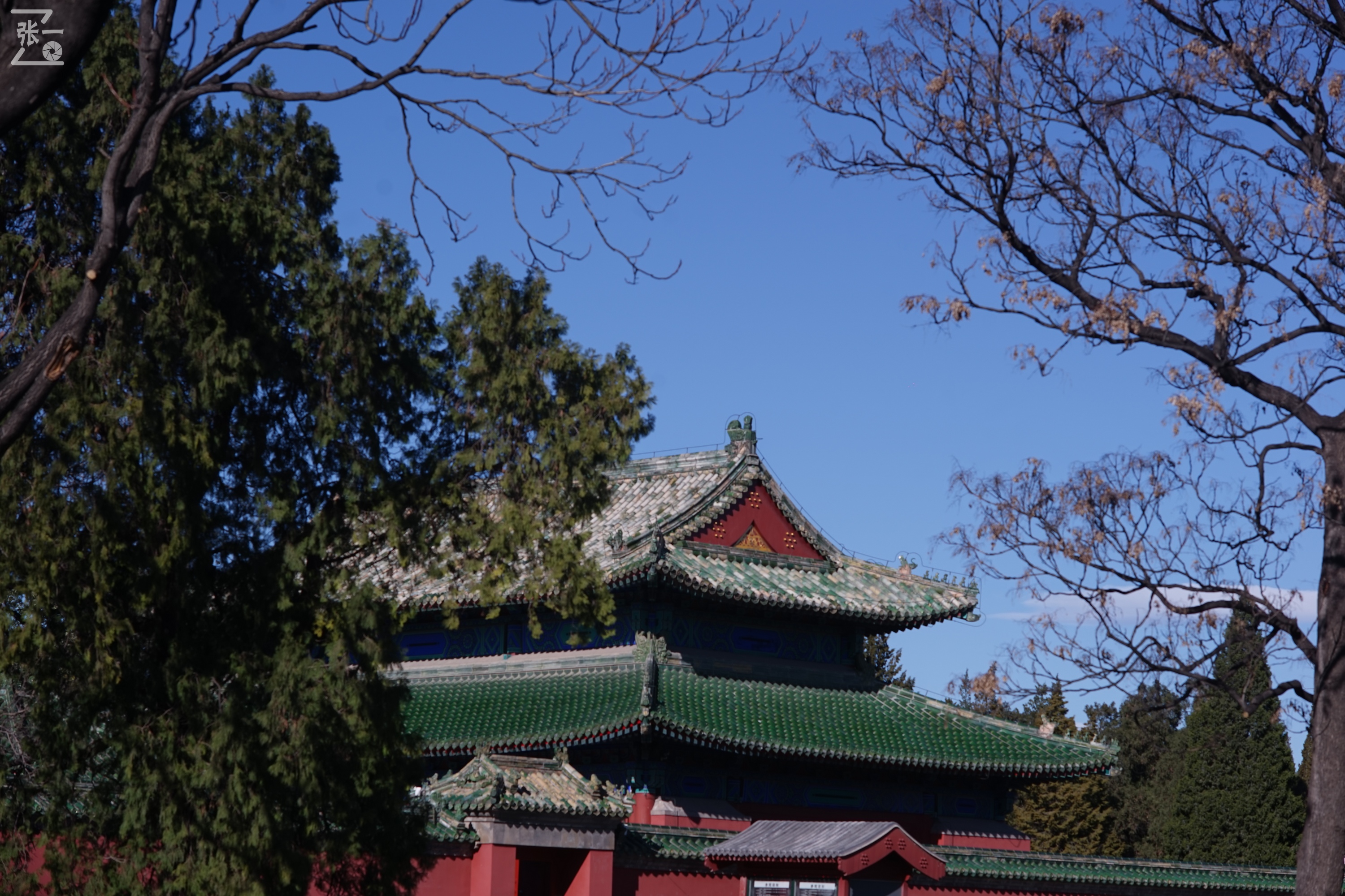 日本老镜头,canon老相机曝光