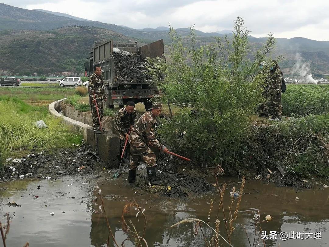 清河行动确保绿水长流,清河行动取得成效