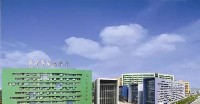 天津市普通高级中学有多少所,高级中学天津