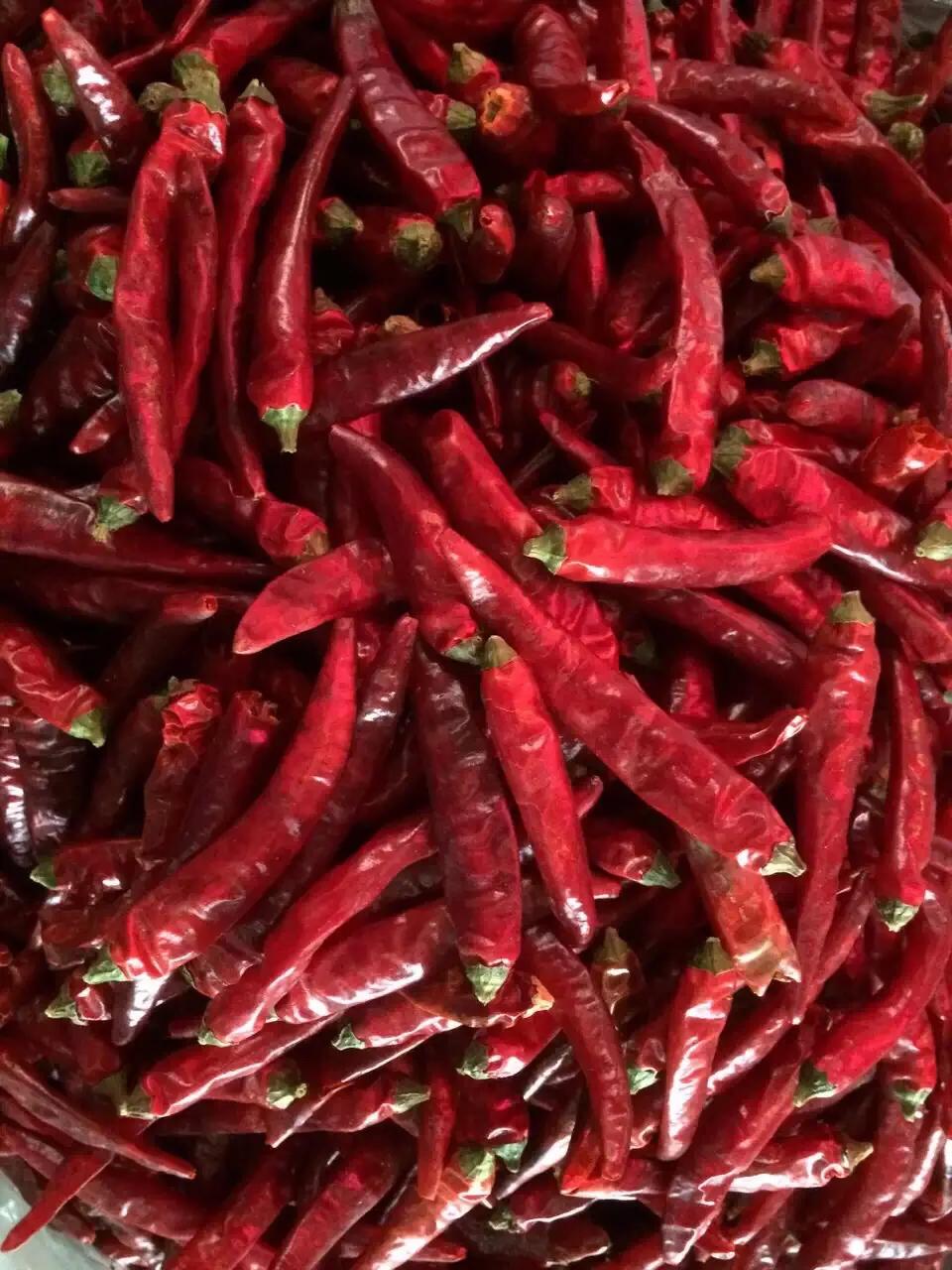 重庆师傅江湖菜,重庆火锅重庆火锅师傅