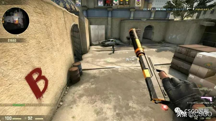 咆哮皮肤为什么被移除,皮肤控第一期